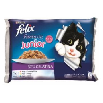 Felix Fantastic Feline...