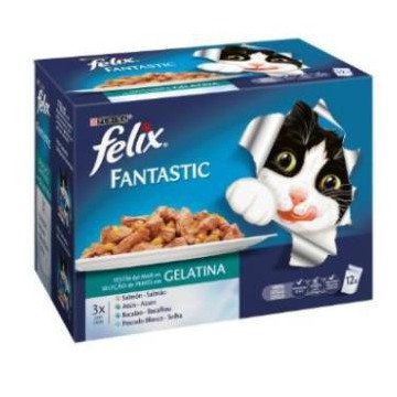 Felix Fantastic Feline...