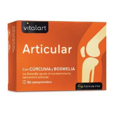 Vitalart Articular 60Comp.