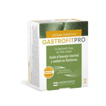 Gastrofit Pro 60Cap.