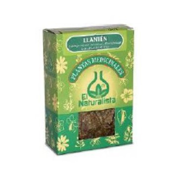 Llanten Planta 45Gr.