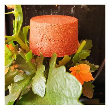 Champu Solido Cabellos...