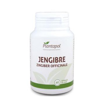 Jengibre 600Mg. 60Cap.
