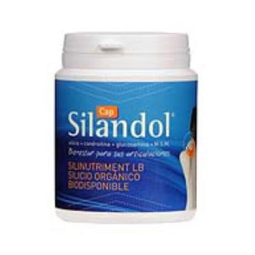 Silandol 120Cap.