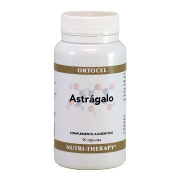 Astragalo 400Mg. 90Cap.