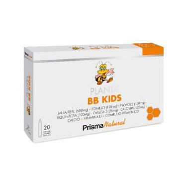 Planta Bb Kids 20Amp.