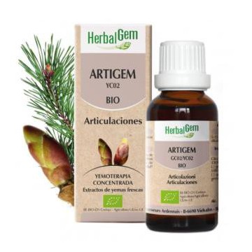 Artigem 50Ml.