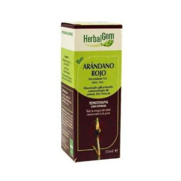 Arandano Rojo Macerado...