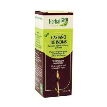 Castaño De Indias Macerado...