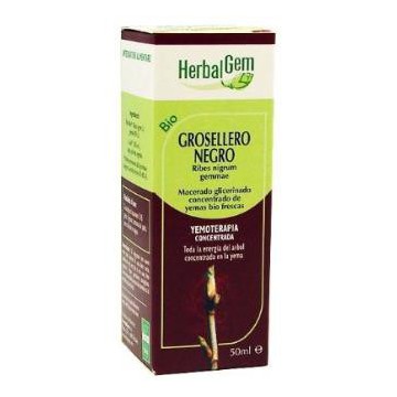 Grosellero Negro Macerado...