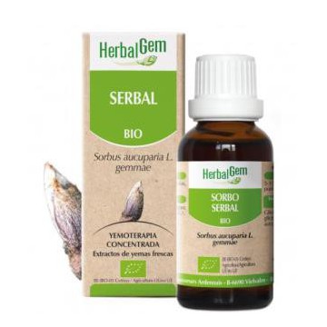 Serbal Macerado Glicerinado...