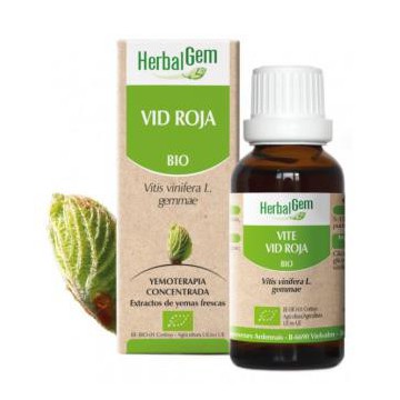 Vid Roja Macerado...