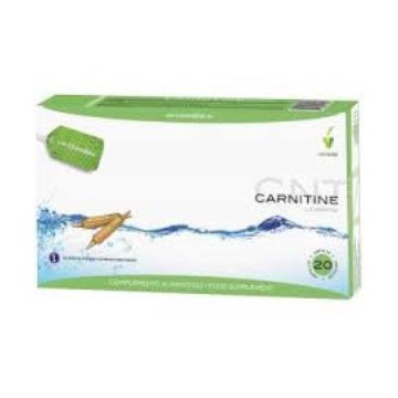 L-Carnitina 20Viales