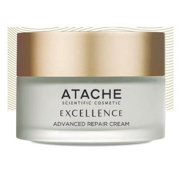 Excellence Advanced Repair...