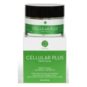 Segle Cellular Plus Crema...