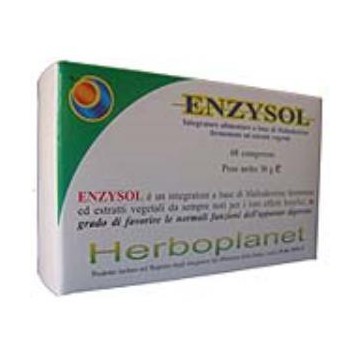 Enzysol 60Comp.