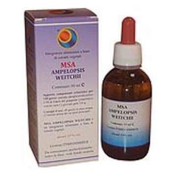 Msa Ampelopsis Weitchii...