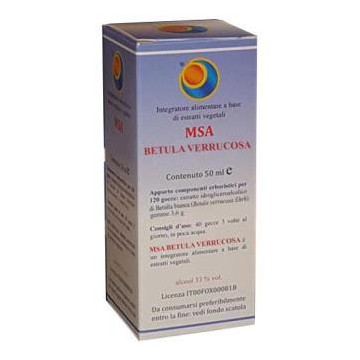 Msa Betula Verrucosa Yemas...