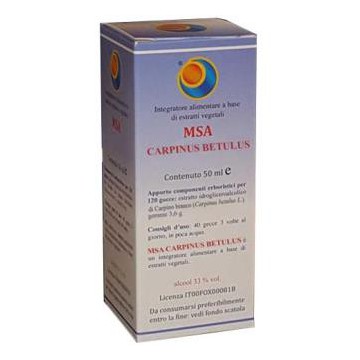 Msa Carpinus Betulus Yemas...