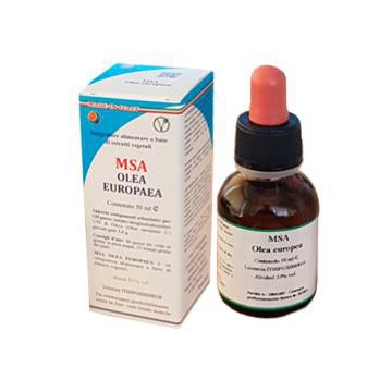 Msa Olea  Europaea Brotes...