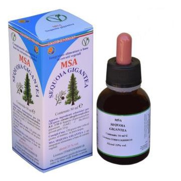 Msa Sequoia Gigantea 50Ml.
