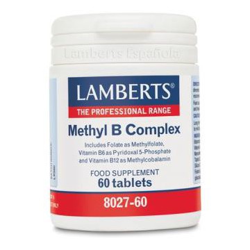 Methyl B Complex 60Comp.