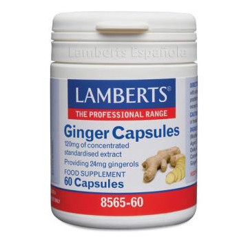 Ginger 12000Mg. Jengibre...