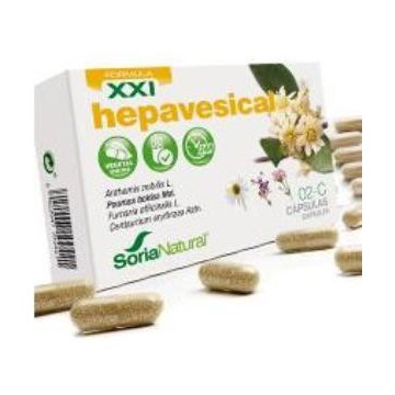 Cap.C 02 Hepavesical Xxi...
