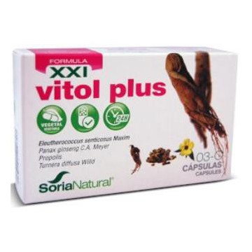 Cap.C 03 Vitol Plus Xxi 30Cap.