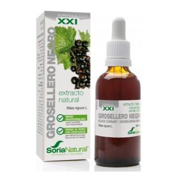 Ext. Grosellero Negro Xxi...