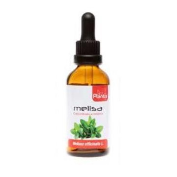 Ext.Melisa 50Ml Maese Herbario
