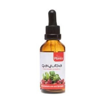Ext.Gayuba 50Ml Maese Herbario