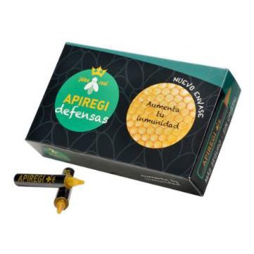 Apiregi Defensas 20Viales