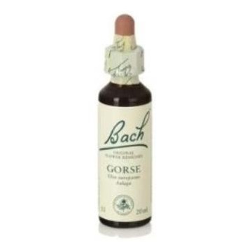Flores Bach Gorse Aulaga 20Ml.