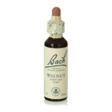 Flores Bach Walnut Nogal 20Ml.