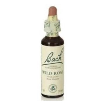 Flores Bach Wild Rose Rosa...