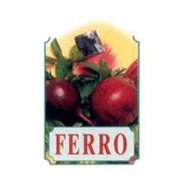 Xer22 Ferro Jarabe 250Ml