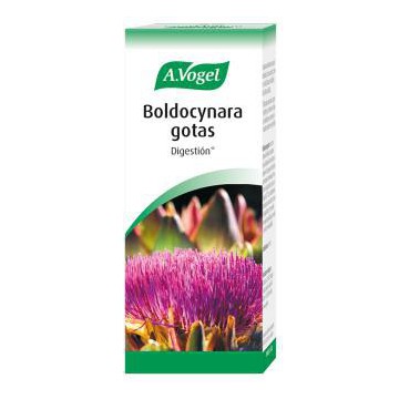 Boldocynara 100Ml.