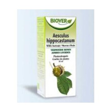 Ext. Aesculus Hippocastanum...