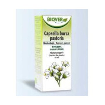 Ext.Capsella Bursa Pastoris...