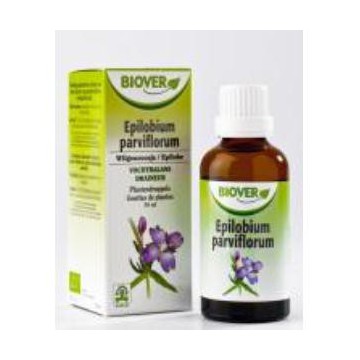 Ext. Epilobium Parviflorum...