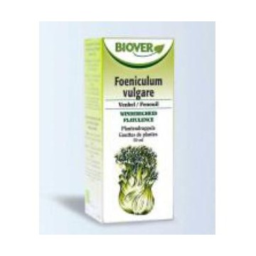 Ext. Foeniculum Vulgare...