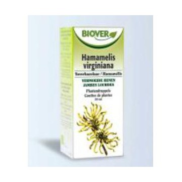 Ext. Hamamelis Virginiana...