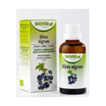 Ext. Ribes Nigrum...