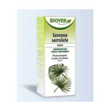 Ext. Sabal Serrulata...