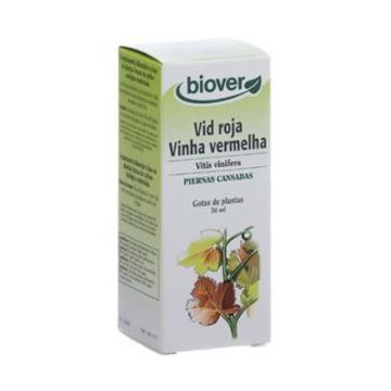 Ext. Vitis Vinifera (Vid...