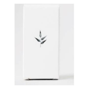 Silver Touch Desodorante...