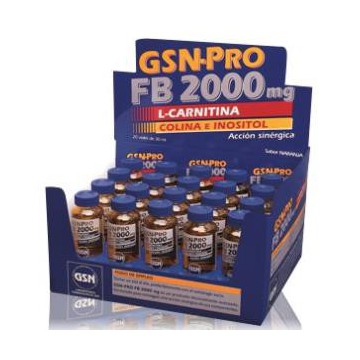 Gsn-Pro Fb-2000Mg 20Viales...
