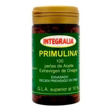 Primulina 100 Perlas