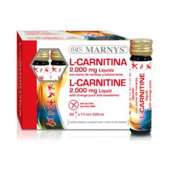 L-Carnitina 2000 Sabor...